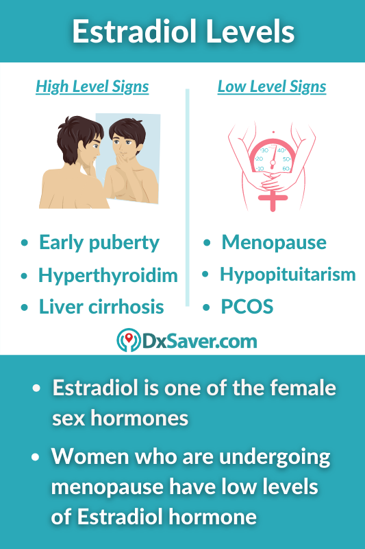 High and Low Levels of Estradiol Hormone - Causes, Symptoms and Test Cost