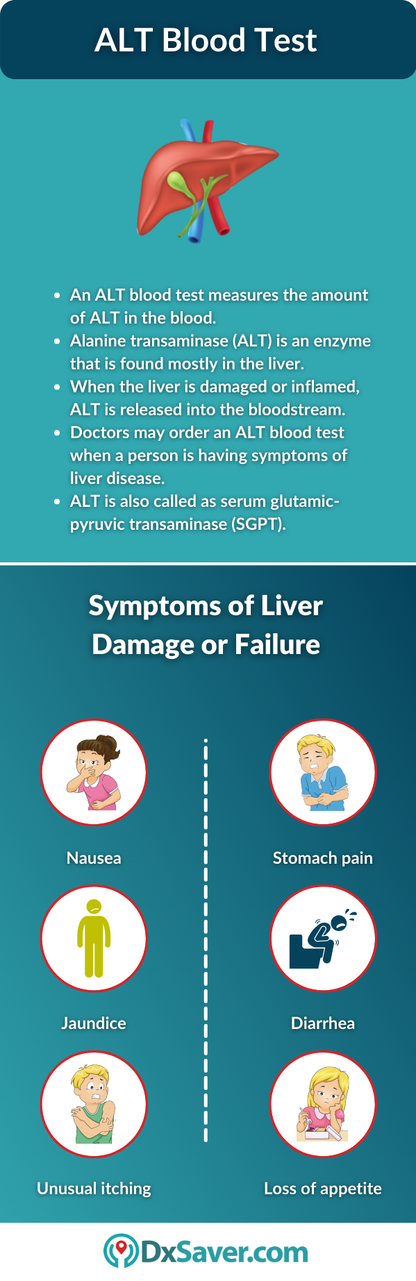 ALT Blood Test and Symptoms of Liver Damage 
