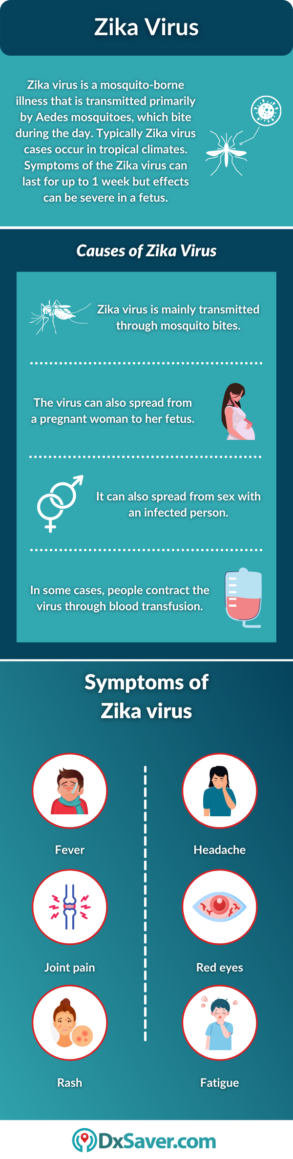 Zika Virus: Causes and Symptoms