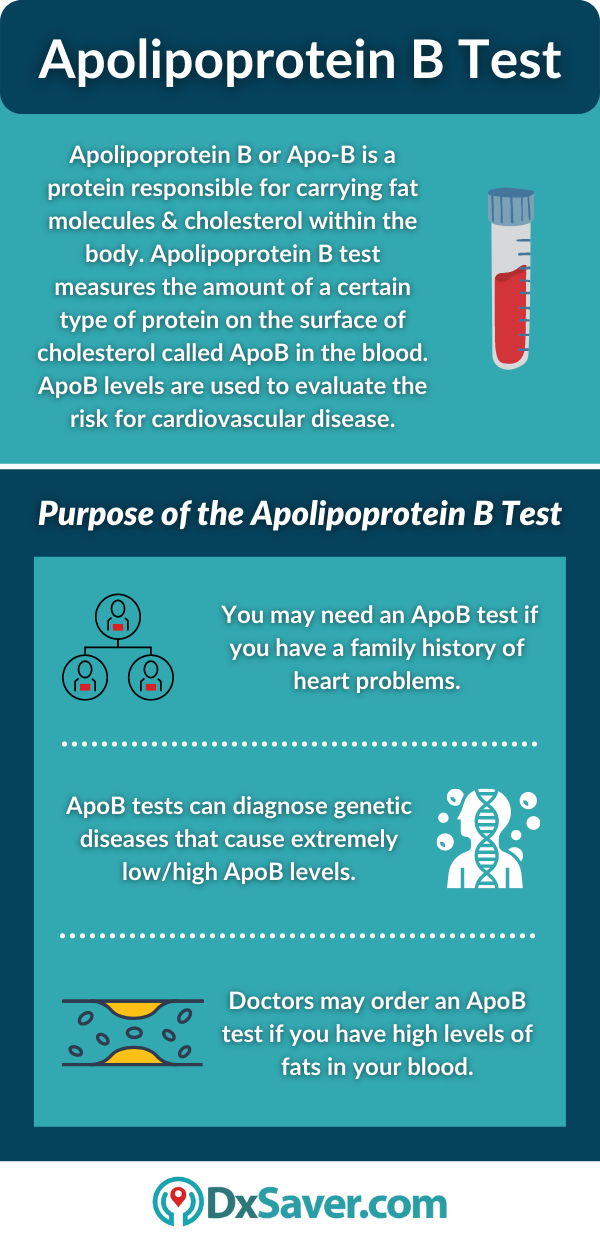 Apolipoprotein B Test and its Purpose