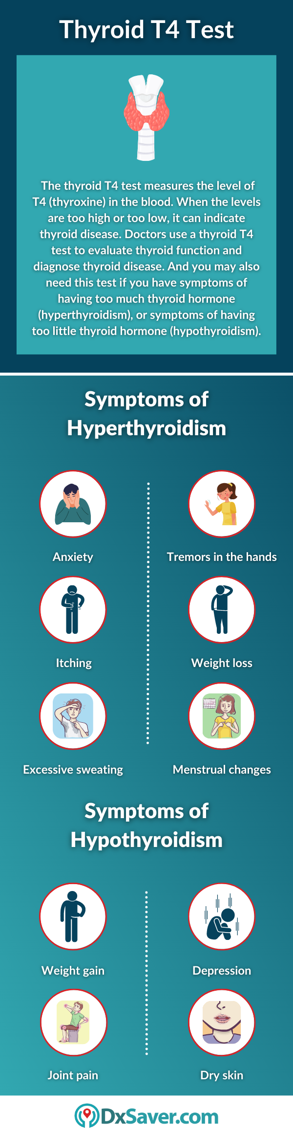 Thyroid T4 Test and Symptoms of Hyperthyroidism & Hypothyroidism