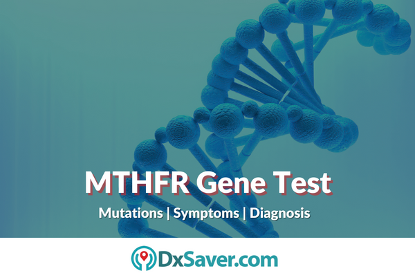 MTHFR Gene Test: Mutations, Symptoms and Diagnosis