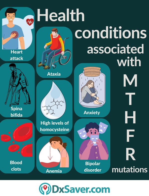 Health conditions - MHTFR Gene