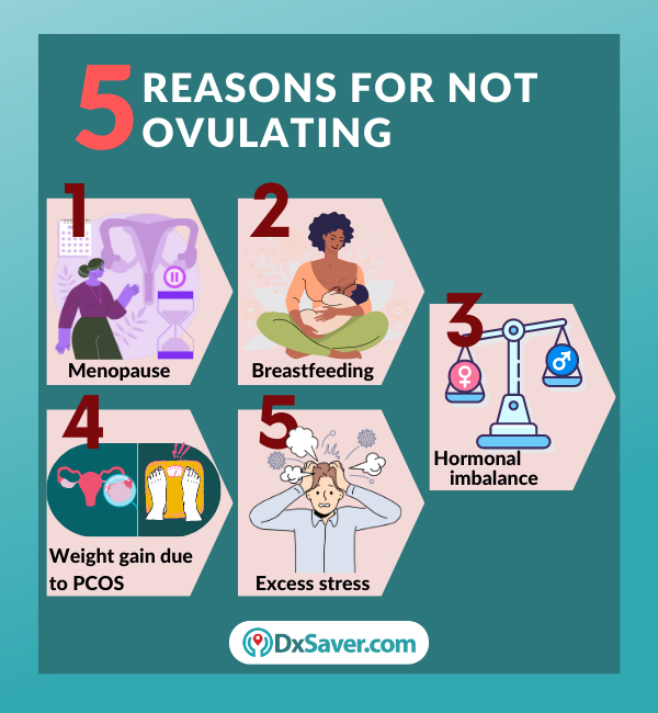 5 Reasons for not ovulating