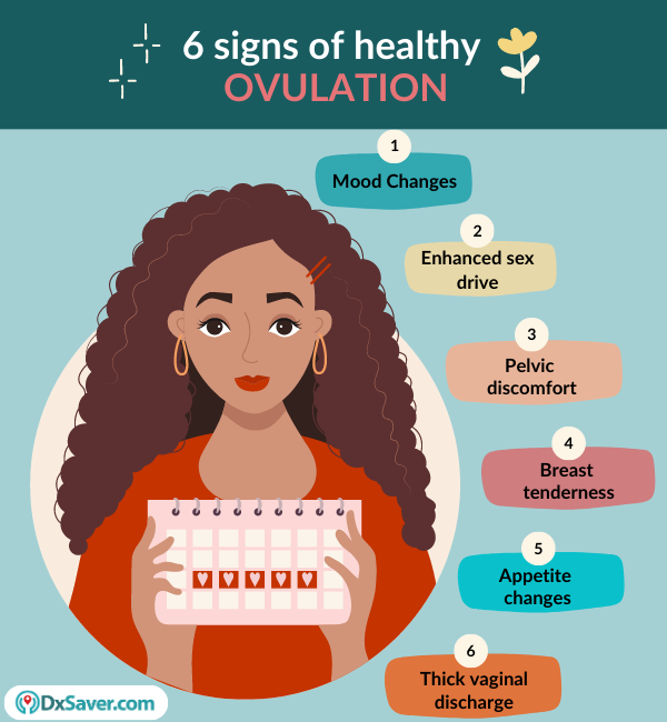 6 Signs of Healthy Ovulation