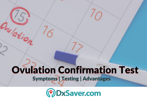 What is Ovulation?